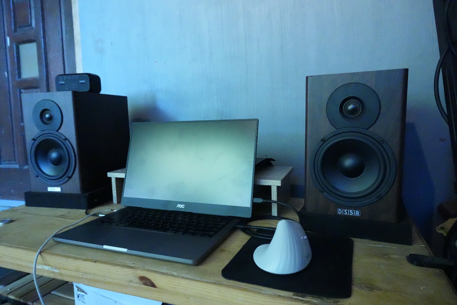 Dolphin Sound DS5A